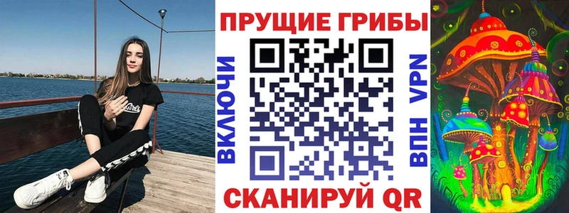 Купить где  Краснотурьинск  Псилоцибиновые грибы прущие грибы 